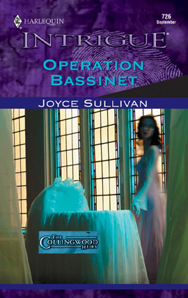 Title details for Operation Bassinet by Joyce Sullivan - Available
